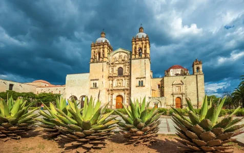 Plantas de agave y un taller artesanal en Oaxaca.